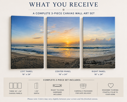 Turtle Trails at Sunrise - 3 Piece Canvas Set
