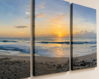 Turtle Trails at Sunrise - 3 Piece Canvas Set