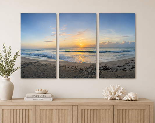 Turtle Trails at Sunrise - 3 Piece Canvas Set